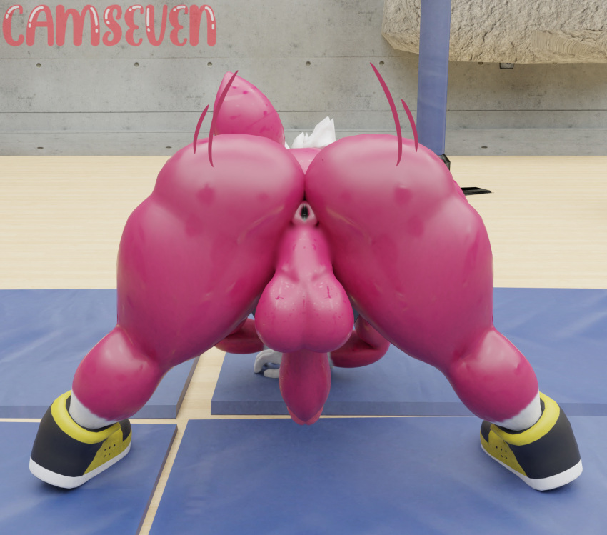 3d_(artwork) anthro anus ass backsack balls big_butt bodily_fluids camseven chip_(sonic) clothing digital_media_(artwork) footwear fur genitals girly gym hair hi_res jack-o'_pose male mammal penis perineum pose presenting presenting_hindquarters rear_view red_body red_fur sega shoes solo sonic_(series) sonic_the_hedgehog_(series) sonic_unleashed sweat teapot_(body_type) unknown_species watermark white_hair wide_hips wings