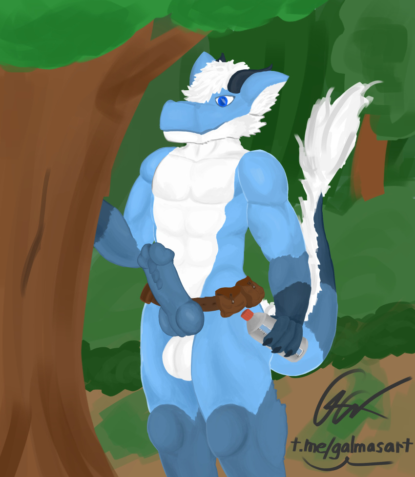 2022 4_fingers abs animal_genitalia animal_penis anthro balls belt belt_pouch blue_body blue_eyes blue_fur blue_penis bottle canid canine canine_penis canis claws day digital_media_(artwork) dragon exhibitionism fingers forest forest_background fur furred_dragon galma galma_(character) genitals hair hi_res holding_object horn humanoid_genitalia humanoid_penis hybrid_genitalia hybrid_penis knot knotted_humanoid_penis male mammal mostly_nude muscular muscular_male nature nature_background nude nude_hiking penile penile_spines penis plant public public_exposure public_nudity scalie signature solo solo_focus text tree water_bottle white_balls white_body white_fur white_hair