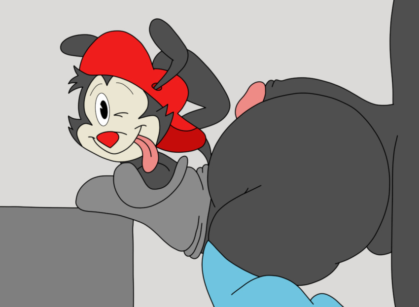 2boys 2d animaniacs ass big_ass canid canine canis femboy huge_ass imminent_sex large_ass looking_at_viewer male penis submissive_male wakko_warner warner_brothers yakko_warner