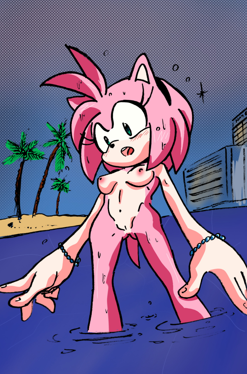 amy_rose beach nude pink_fur pink_hair randomguy999 sonic_(series) surprised