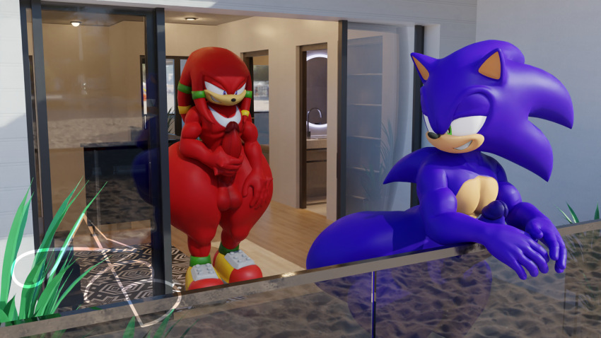 2boys 3d anthro ass balls big_ass blender echidna fapping furry hedgehog knuckles_the_echidna looking_at_another looking_back male_only masturbation penis pinkie_out presenting presenting_hindquarters sonic_(series) sonic_the_hedgehog