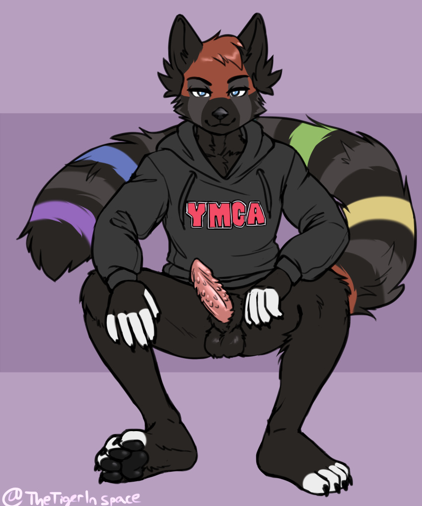 absurd_res ailurid anthro balls bottomwear clothing genitals giant_panda hi_res male mammal markings narrowed_eyes pants pawpads paws penile_spines penis razumi red_panda sheeth smile solo sweatshirt tail_markings tail_tuft tuft ursid