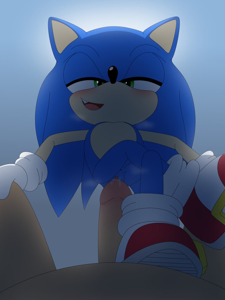 1boy anthro big_penis cuntboy cuntboy/male cuntboydom femboy human human_on_anthro imminent_penetration intersex male penis pov pussy sonic_(series) sonic_the_hedgehog sonic_the_hedgehog_(series) unknown_artist vagina