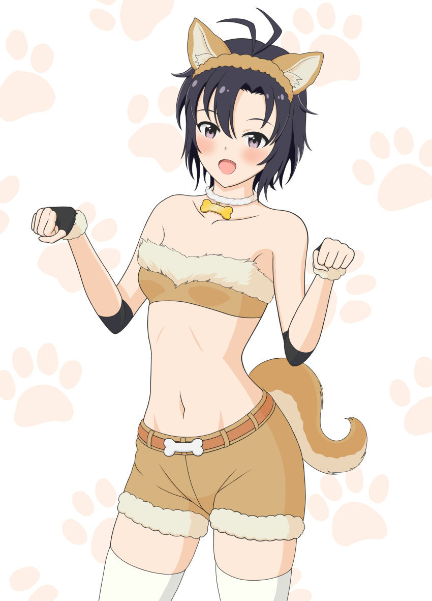 1girls ahoge belly belly_button black_hair blush cute dog_ears dog_girl dog_tail female female_focus female_only grey_eyes idolmaster idolmaster_cinderella_girls kikuchi_makoto legwear looking_at_viewer makoto_kikuchi necklace neckwear short_hair shorts simple_background smiling_at_viewer solo solo_female solo_focus thighs waist white_background white_legwear