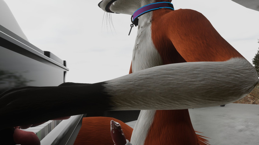 anthro anthro_only fox outside piano rexouium tagme vr_media wenge