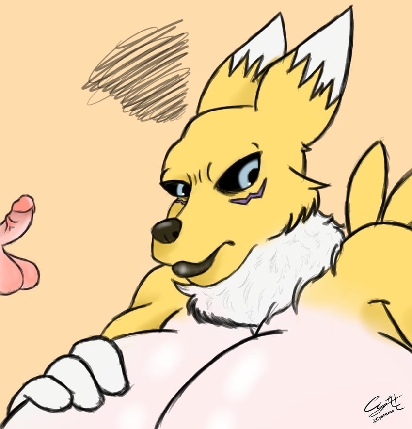 absurd_res angry annoyed anthro balls bandai_namco breasts cyaturus_(artist) digimon digimon_(species) digital_media_(artwork) duo erection female fur genitals hi_res humiliation lips male male/female penis penis_humiliation renamon simple_background small_penis small_penis_humiliation thick_lips unseen_male_face video_games