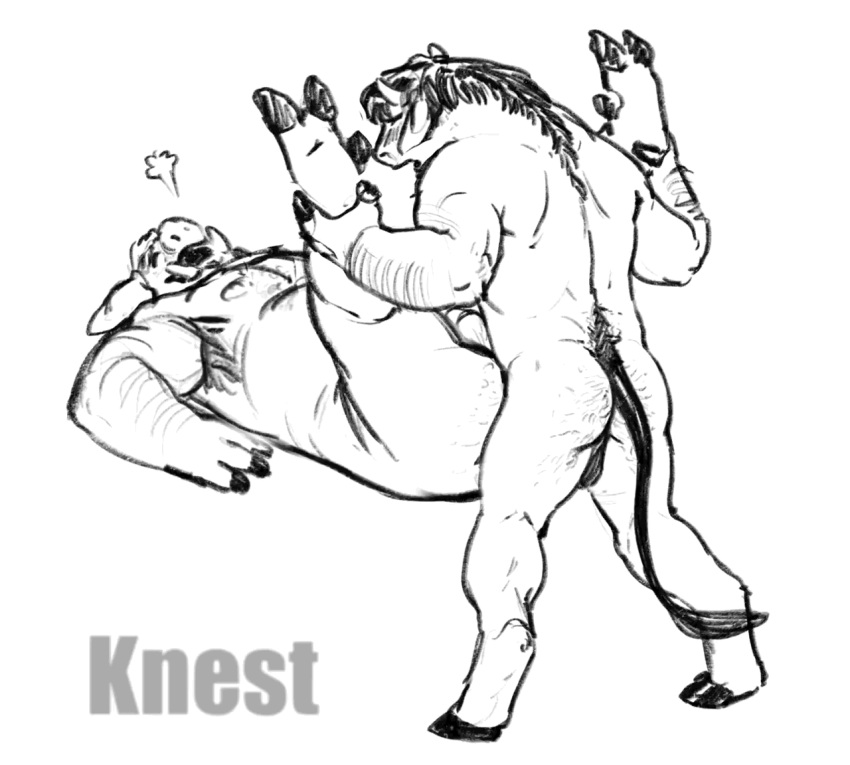 anal animated anthro balls bovid bovine cattle domestic_pig duo genitals hairy_ass knest legs_up lying male male/male mammal muscular on_back slightly_chubby suid suina sus_(pig)