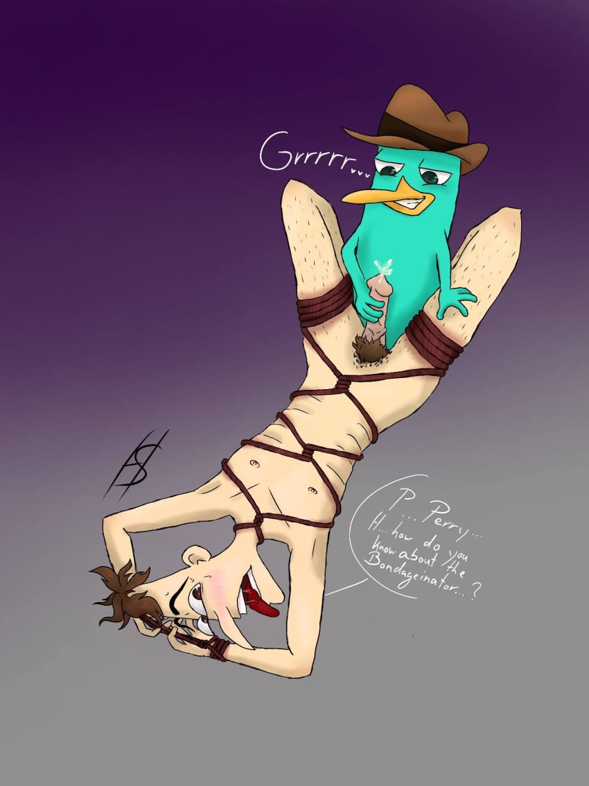 bondage dr_heinz_doofenshmirtz gay penis perry_the_platypus phineas_and_ferb small_dom_big_sub yaoi