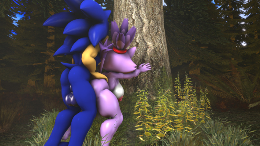 1boy 1futa 3d anal anal_sex anthro bent_over blaze_the_cat forest forest_background forest_sex futanari male_on_futa sonic_(series) sonic_the_hedgehog sonicthebitch standing tagme