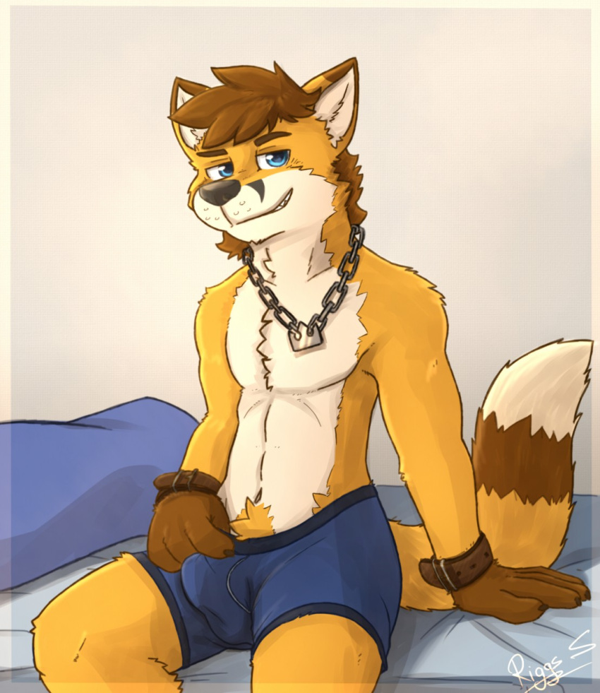 anthro bed boxers_(clothing) bulge canid canine canis chains clothed clothing countershading cuff_(restraint) detailed_bulge fox furniture genital_outline hi_res hybrid jewelry male mammal necklace pache_riggs partially_clothed penis_outline restraints richart_(richartwf) shackles solo teenager underwear wolf young