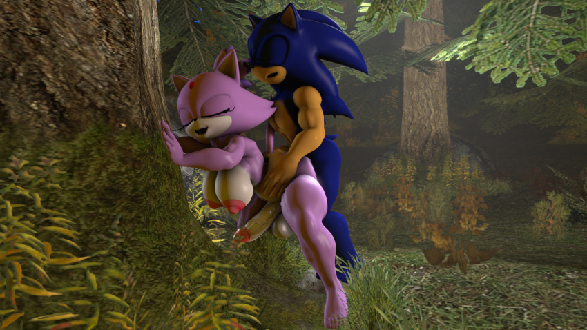 1boy 1futa 3d anal anal_sex anthro bent_over blaze_the_cat forest forest_background forest_sex futanari male_on_futa sonic_(series) sonic_the_hedgehog sonicthebitch standing tagme