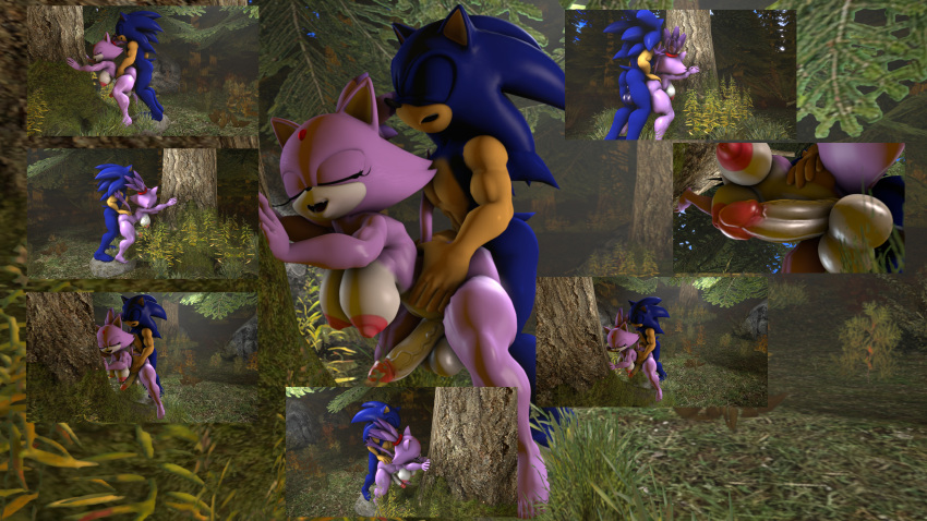 1boy 1futa 3d anal anal_sex anthro bent_over blaze_the_cat completely_nude completely_nude_female completely_nude_male forest forest_background forest_sex futanari male male_on_futa muscular_male sonic_(series) sonic_the_hedgehog sonicthebitch standing tagme