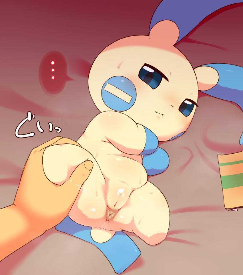 alacarte anus bedding bedding_background bodily_fluids disembodied_hand duo female generation_3_pokemon genitals hi_res human humanoid_hands leg_grab looking_at_viewer lying mammal minun nintendo nude on_back pokemon pokemon_(species) pussy sweat video_games white_body