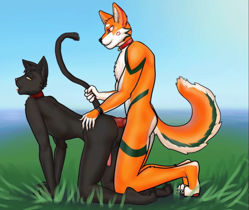 anal anal_sex animated anthro anthro_on_anthro anthro_penetrated anthro_penetrating anthro_penetrating_anthro balls black_body black_fur canid canine collar collar_ring countershading doggy_style duo erection felid feline fowel from_behind_position fur fur_markings genitals kneeling kneeling_sex knot loop male male/male male_penetrated male_penetrating male_penetrating_male mammal markings orange_body orange_fur penetration penile penile_penetration penis sex short_playtime tail_motion tomleo_(fursona) tongue tongue_out