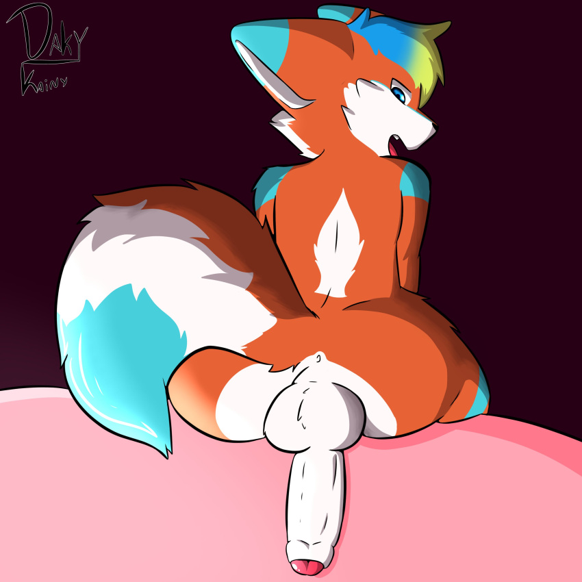 1boy 2024 2d 2d_(artwork) 2d_artwork big_ass big_ass_(male) big_balls big_butt blue blue_eyes blue_fur cute cute_face cute_male daky_kainy exposed_ass exposed_penis furry_ass furry_male furry_only furry_tail looking_back male male_only multicolored_fur multicolored_hair orange_fur smile smiling smiling_at_viewer tight_ass white_fur