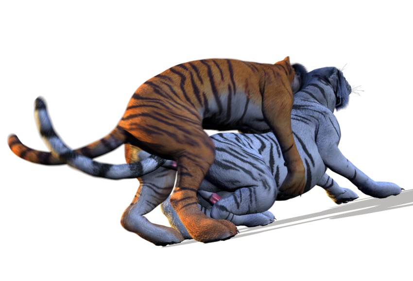 2000s 2009 2boys 3d 3d_(artwork) alpha_channel anal anal_sex balls erection feline feral fur furry furry_only gay hyper male male_only no_humans orange penis siberian_tiger spanking_(artist) tiger transparent_background white_fur white_tiger yaoi