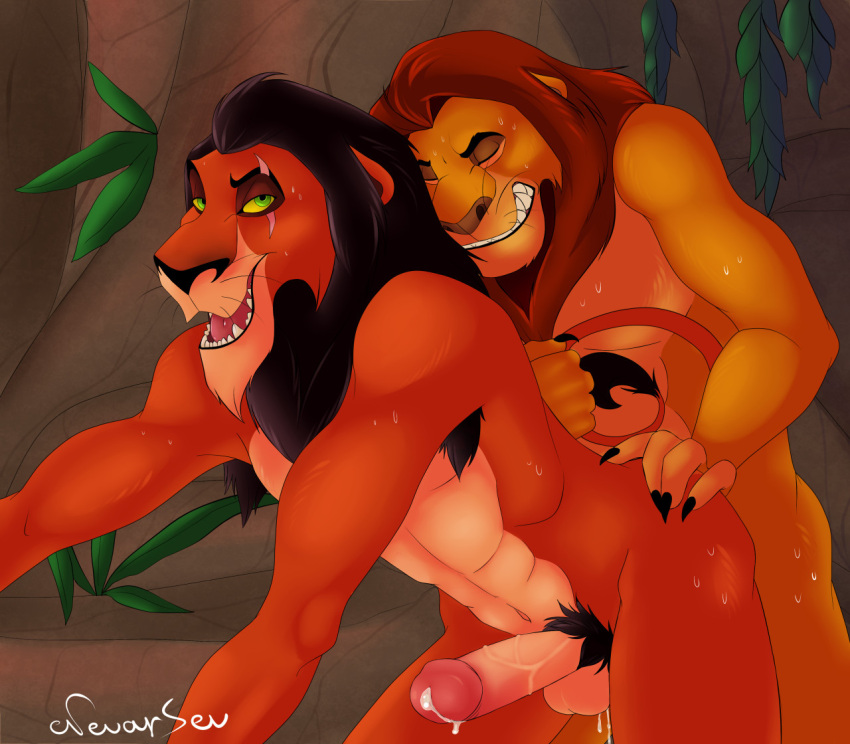 anal anal_sex anthro balls boner closed_eyes disney erection furry gay incest lion male male_only mane nevarsev nude penis scar scar_(the_lion_king) scar_across_eye sex simba sweat sweating the_lion_king uncle_and_nephew