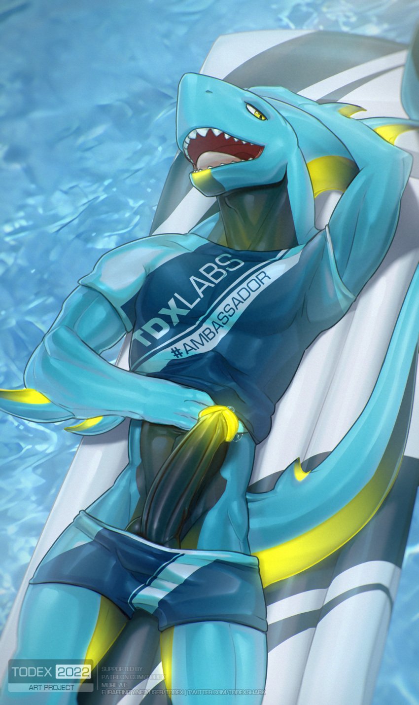 2022 anthro athletic athletic_male big_penis clothing erection fish genitals hi_res humanoid_genitalia humanoid_penis looking_at_viewer lying male male_only marine on_back penis presenting pupils shark sharp_teeth slit_pupils solo swimwear tdxlabs teeth todex water watermark yellow_eyes