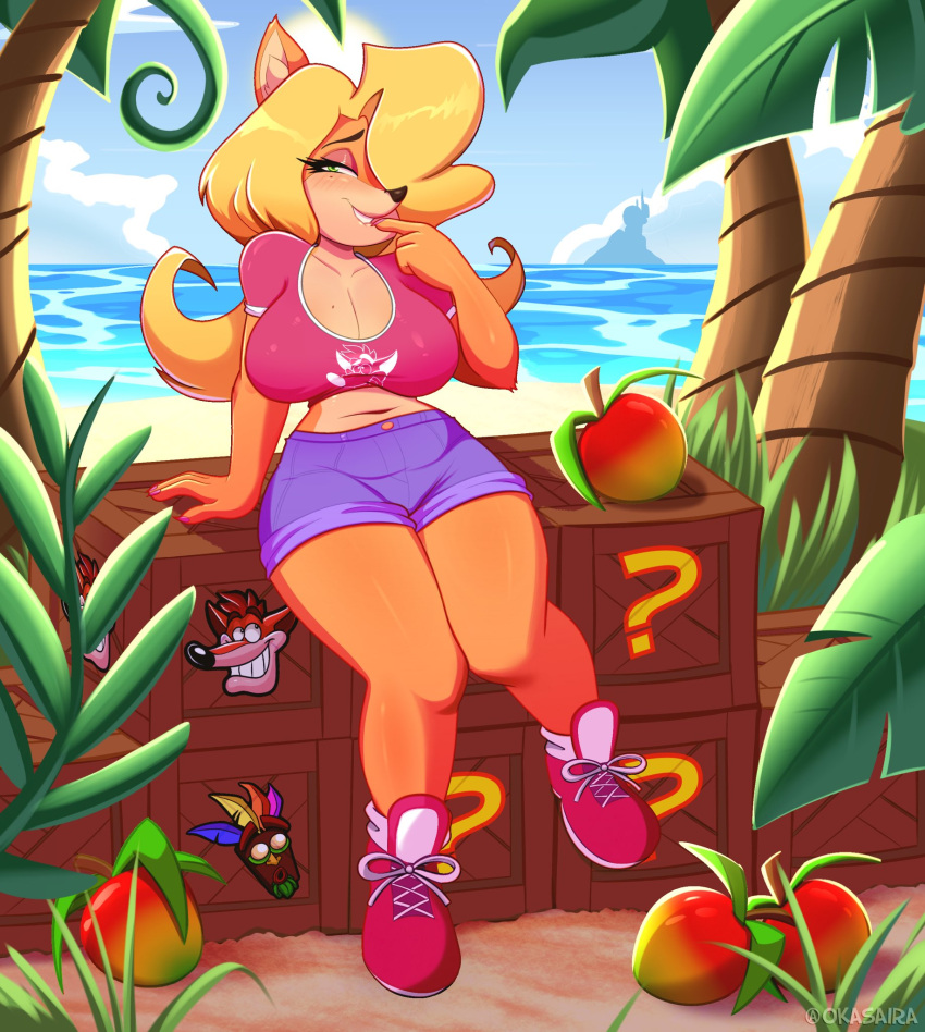 1girls alternate_version_available anthro bandicoot beach biting_lip blonde_hair blush cleavage clothed crash_(series) crate crop_top curvy eyeshadow female finger_to_mouth furry green_eyes hair_over_one_eye half-closed_eyes large_breasts long_hair mole_on_breast ocean okasaira shorts smile tawna_bandicoot voluptuous wumpa_fruit