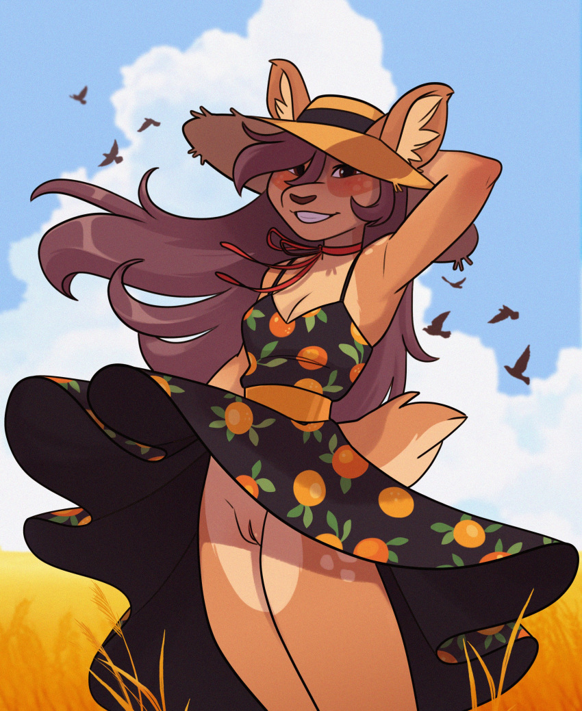 absurd_res anthro avian bird bottomwear breasts brown_hair cervid clothed clothing clothing_lift dress female genitals grass hair hi_res long_hair mammal merlinmakes neck_ribbon no_underwear plant pussy skirt skirt_lift smile solo sun_hat sundress upskirt wheat_field