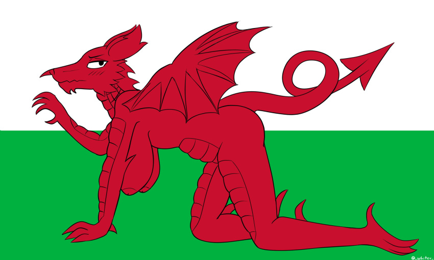 big_breasts blush breasts bruh dragon female female_only flag looking_at_viewer red_body simple_background solo tail wales wings