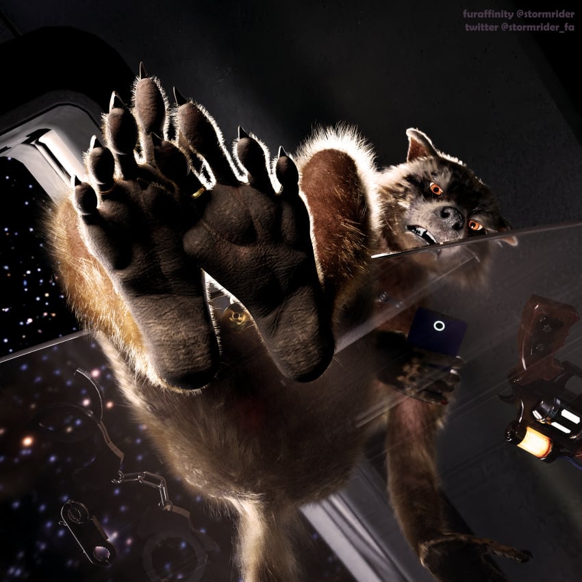 3d_(artwork) absurd_res anthro blender_(software) chastity_cage chastity_device digit_ring digital_media_(artwork) feet first_person_view foot_fetish guardians_of_the_galaxy hi_res hindpaw jewelry male mammal marvel marvel_cinematic_universe paws procyonid raccoon ring rocket_raccoon soles solo stormrider toe_ring