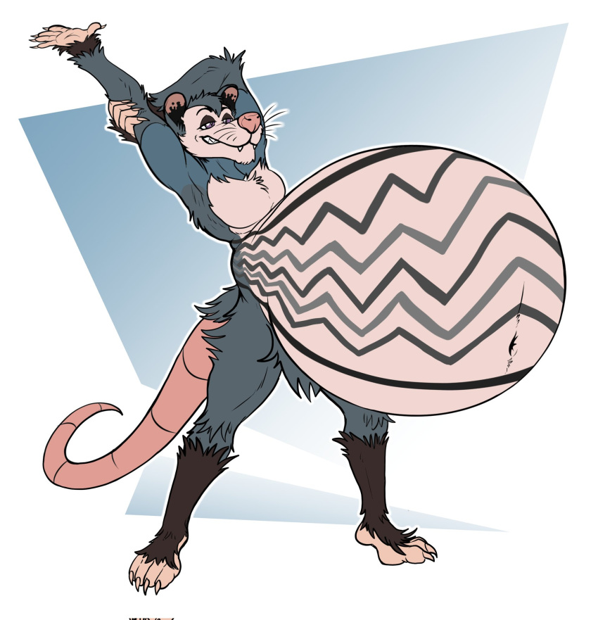 1boy 2022 anthro belly belly_button big_belly eggo21 furry killian_(remishadow) male markings navel opossum stretch stretching tail tummy