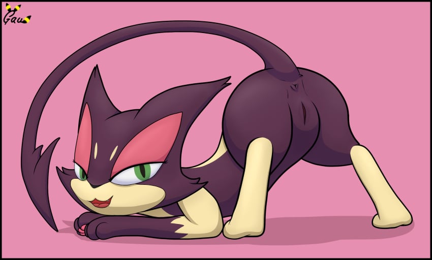 anus ass ass_up female feral gau_(artist) generation_5_pokemon genitals hi_res looking_at_viewer nintendo pokemon pokemon_(species) presenting presenting_pussy purple_body purrloin pussy raised_tail solo video_games yoru_(purrloin)