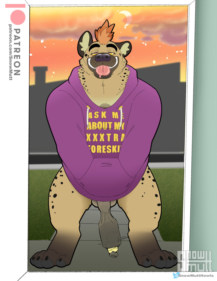 absurd_res anthro balls bottomless clothed clothing drakirion foreskin foreskin_play genitals hand_in_pocket hi_res hoodie hyaenid long_foreskin male male_only mammal object_in_foreskin penis pockets snowmutt solo tied_foreskin tongue tongue_out topwear