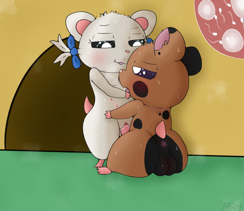 Bijou (Hamtaro) Rule 34 Image