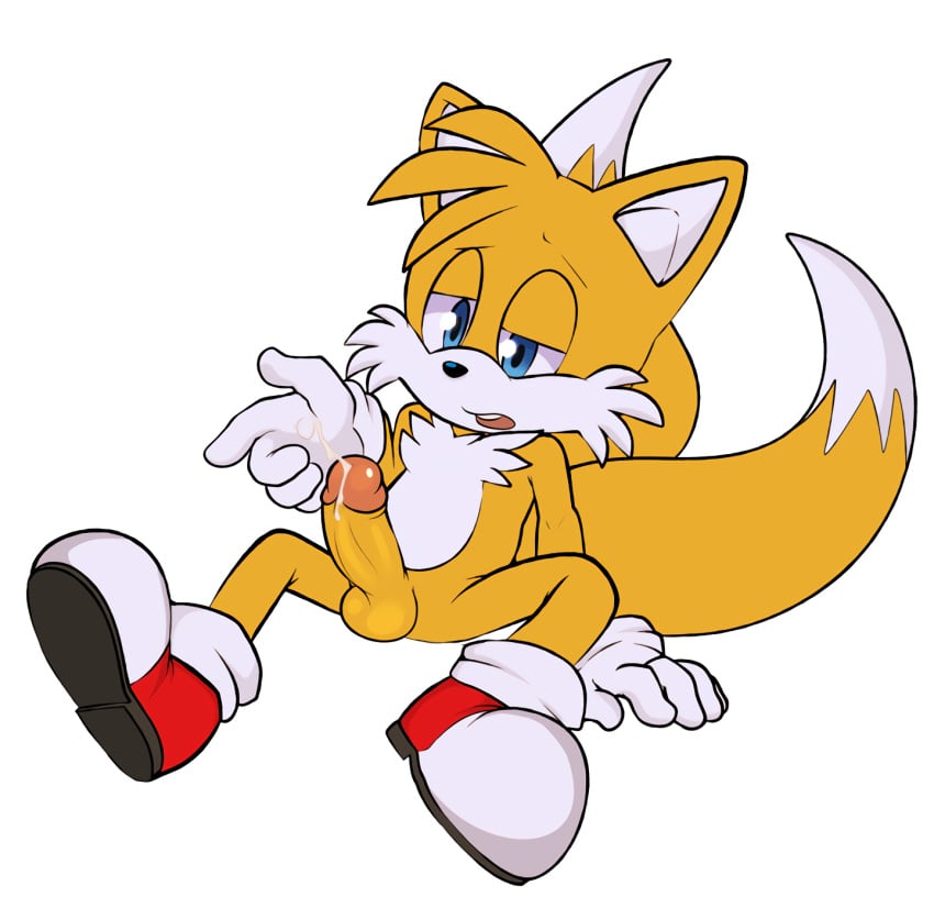 Miles Prower (Sonic (Series)) Rule 34 Image