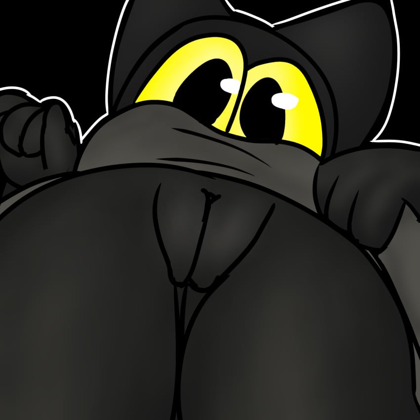 black_body black_cat black_fur cat_ears cat_girl cat_humanoid clothing female female_only google google_doodle gray_clothing gray_shirt legs legs_over_head looking_at_viewer looking_down magic_cat_academy momo_(google) pussy solo solo_female solo_focus tagme yellow_eyes yellow_eyes_female