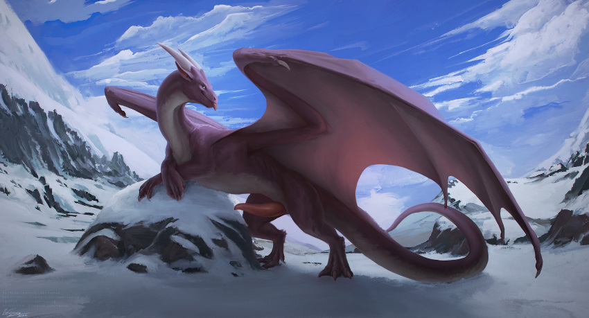 absurd_res animal_genitalia claws digital_media_(artwork) dragon erection feral fur furred_dragon genitals hi_res horn looking_at_viewer male mountain penis presenting rock smile snow solo text tongue url veoros wings