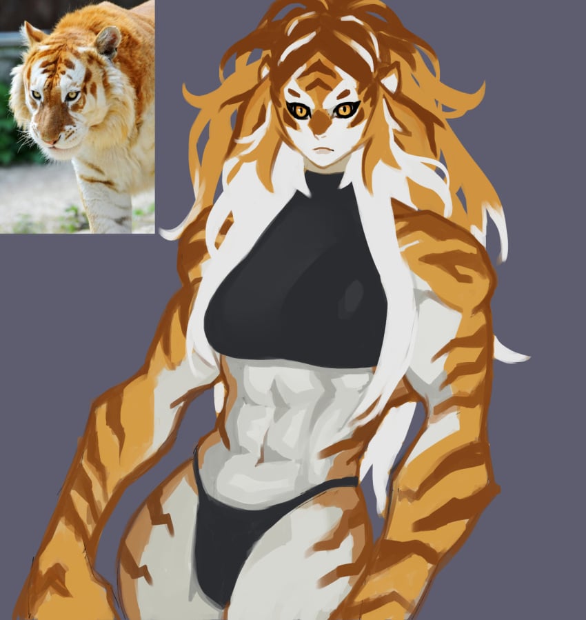 1girls anthro black_sclera countershading crom dinerforwolves female female_only hi_res long_hair looking_at_viewer muscular muscular_female orange_body orange_hair pantherine panties reference_image slit_pupils solo striped_body tiger topwear unamused white_highlights yellow_eyes