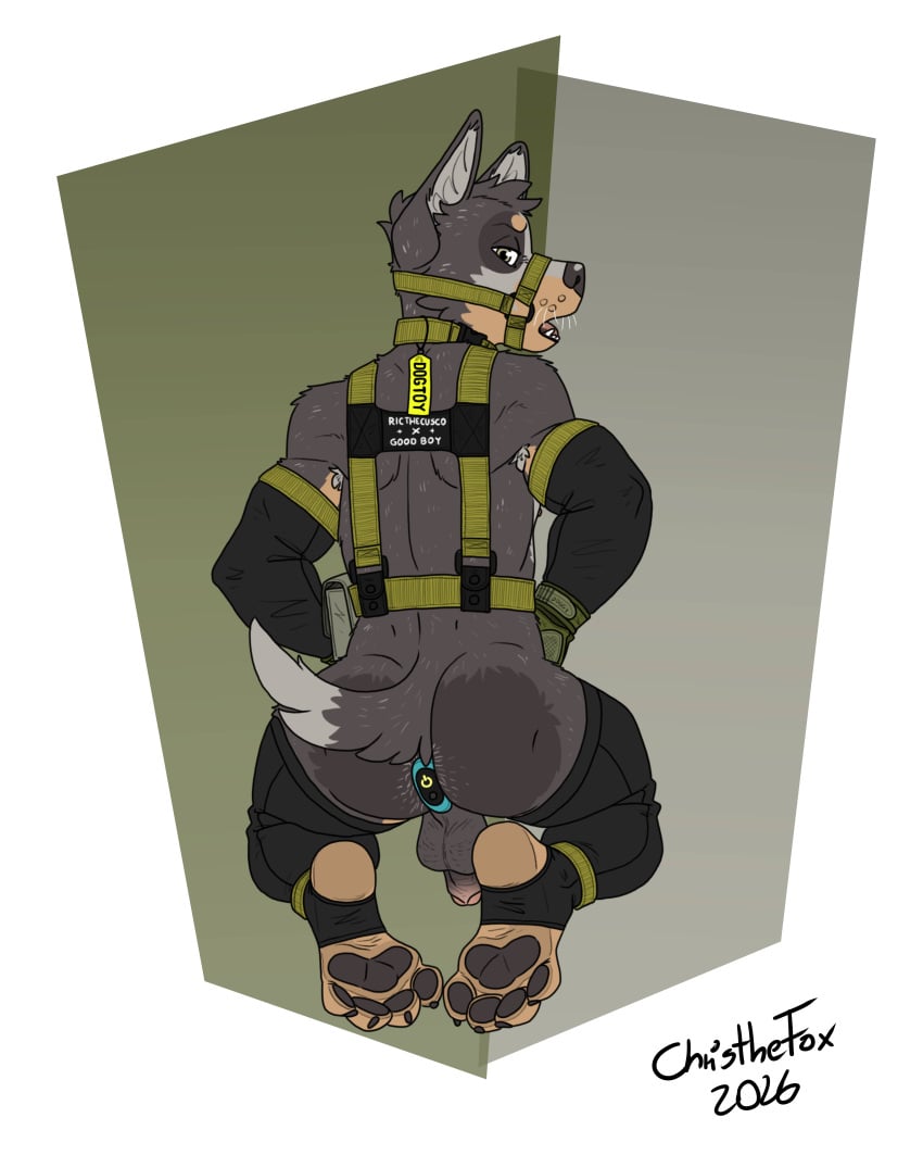 Brazilian Dawg (Ricthecusco) Rule 34 Image