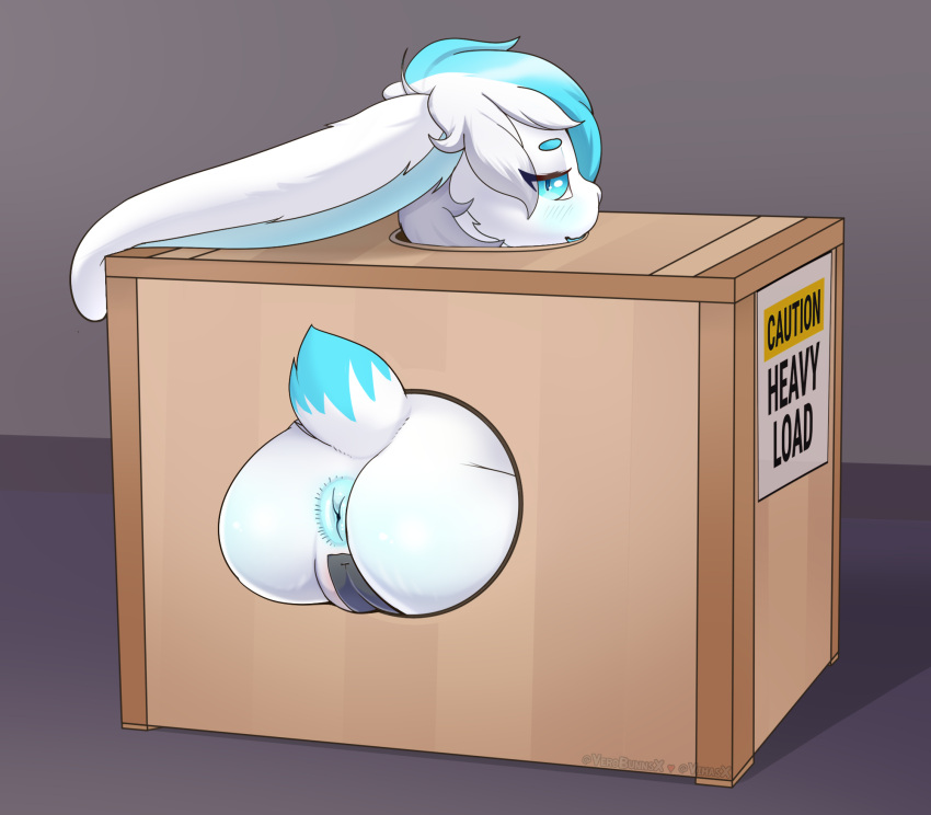 1girls anal anal_only anal_only_maebari anthro anus ass box container female female_only hi_res lagomorph leporid looking_at_viewer maddy_(lllmaddy) maebari mammal pussy_tape rabbit sex_box solo through_wall uncensored verobunnsx