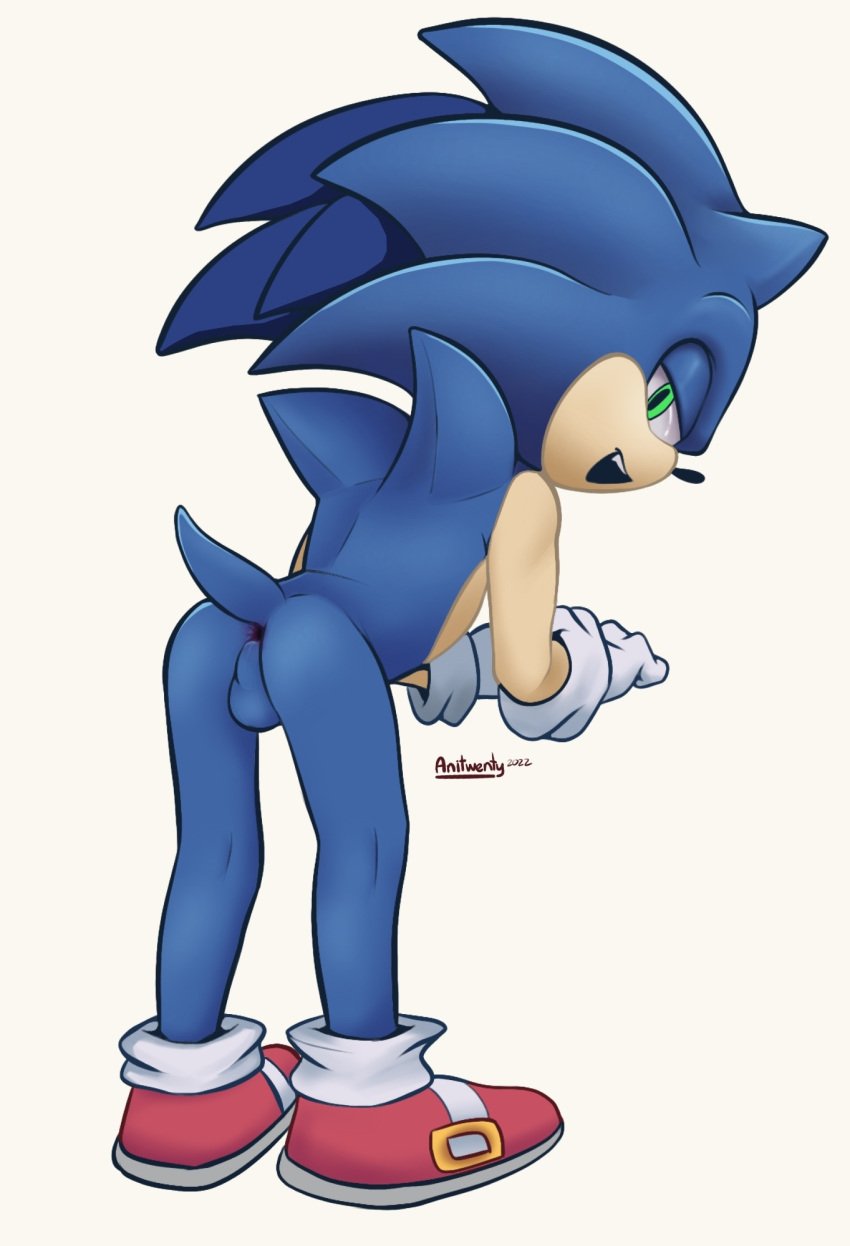 anitwenty anthro anus ass clothing eulipotyphlan footwear gloves handwear hedgehog hi_res leaning leaning_forward looking_at_viewer looking_back male male_only mammal pink_anus presenting presenting_anus presenting_hindquarters raised_tail sega shoes socks solo sonic_(series) sonic_the_hedgehog sonic_the_hedgehog_(series)