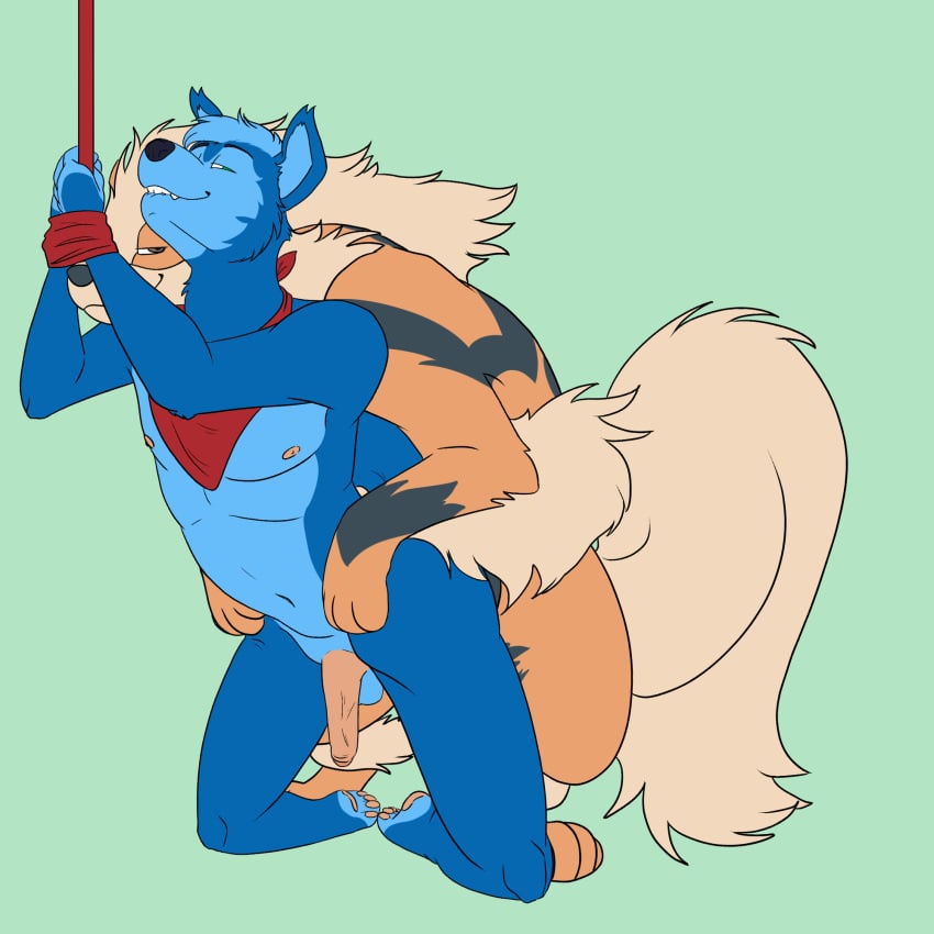 anal anal_sex anthro anthro_on_feral anthro_penetrated antoszowa arcanine balls blue_body blue_fur canid canine canis domestic_dog duo duo_focus feral feral_penetrating feral_penetrating_anthro from_behind_position fur generation_1_pokemon genitals group hair hi_res humanoid_genitalia interspecies kneeling male male/male male_on_feral male_penetrated male_penetrating male_penetrating_male mammal nintendo nude on_ground paws_on_hips penetration pokemon pokemon_(species) pokephilia rope sex shiba_inu size_difference smile spitz teeth video_games zoophilia