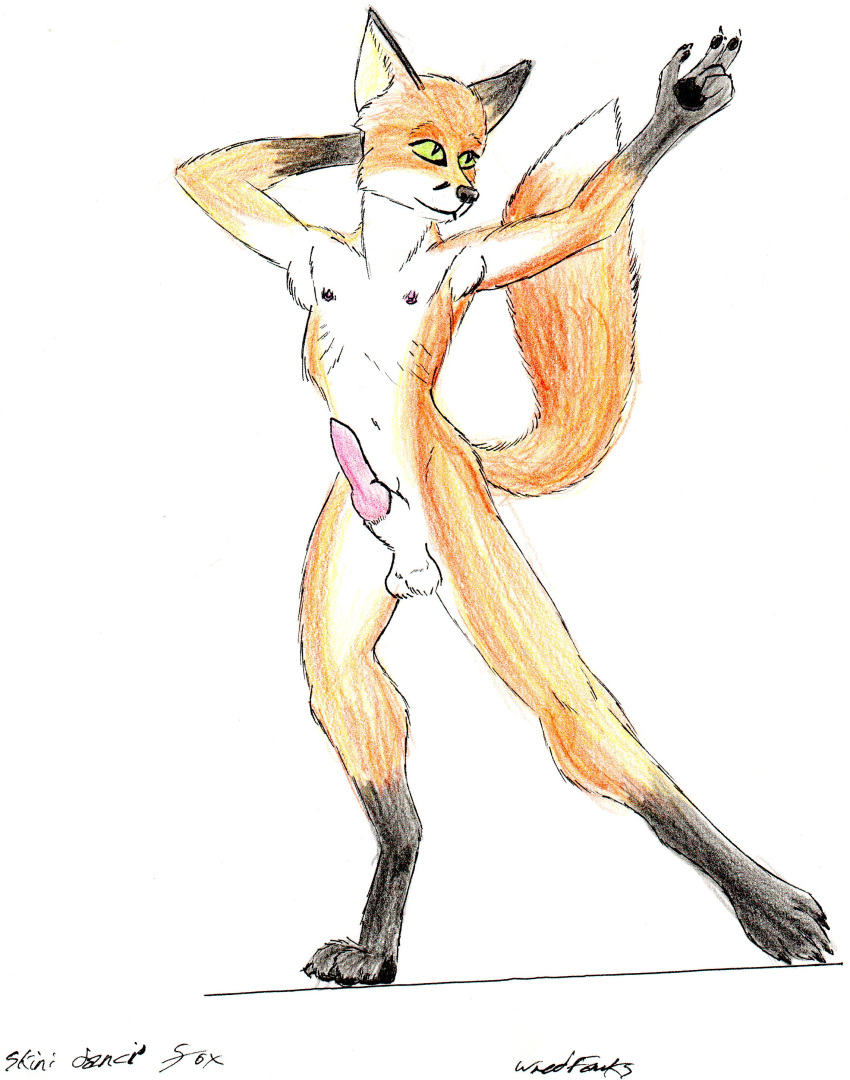 1boy anthro aroused balls canine color erection fox fur furry hi_res knot male male_only nipples nude penis pose raised solo tail white_background wred wred_character