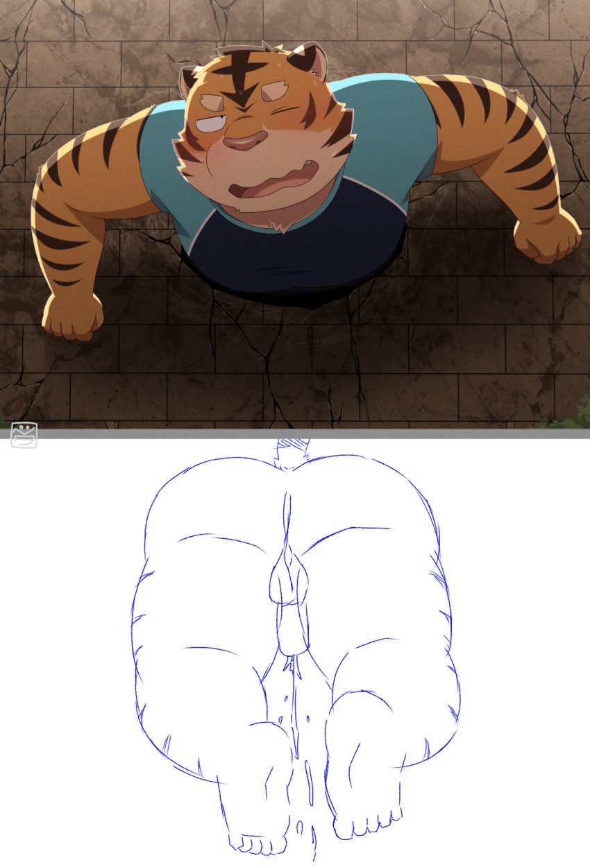 2022 anthro ass balls bodily_fluids clothing cum ejaculation felid genital_fluids genitals hi_res kemono male mammal one_eye_closed overweight overweight_male pantherine penis penta002 shirt solo through_wall tiger topwear