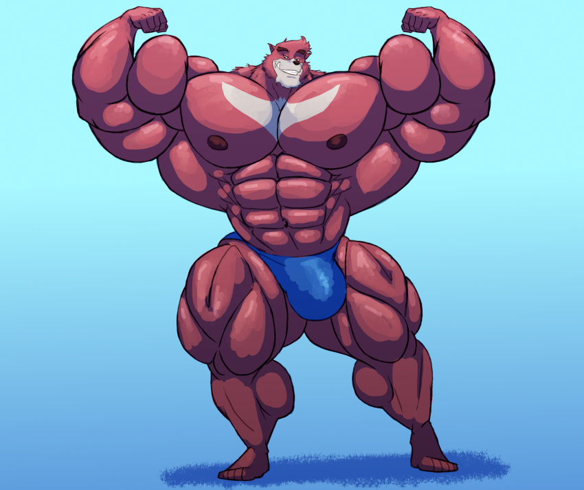 anthro balls bara barazoku beast big_bulge black_nose bulge chest_tuft flexing furry gay kumatetsu male male_only muscles muscular muscular_male penis red_body red_fur renloaf solo solo_male the_boy_and_the_beast