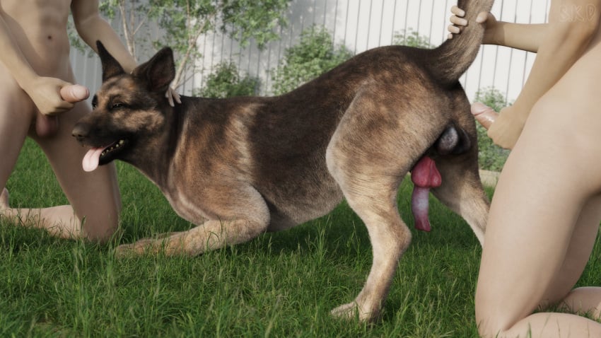 3d_(artwork) 4k absurd_res anatomically_correct anatomically_correct_genitalia anatomically_correct_penis animal_genitalia animal_penis anus ass_up bethesda_softworks blender_(software) brown_body brown_eyes brown_fur canid canine canine_penis canis crouching digital_media_(artwork) dogmeat domestic_dog fallout fence feral fur genitals german_shepherd grass group hand_on_head herding_dog hi_res holding_penis human human_on_feral interspecies kneeling looking_at_viewer male male/male male_on_feral mammal multicolored_body multicolored_fur narrowed_eyes offscreen_male outside pastoral_dog penis plant raised_tail s.k.d seductive shrub snow_kitsune tail_grab tongue tongue_out trio video_games zoophilia