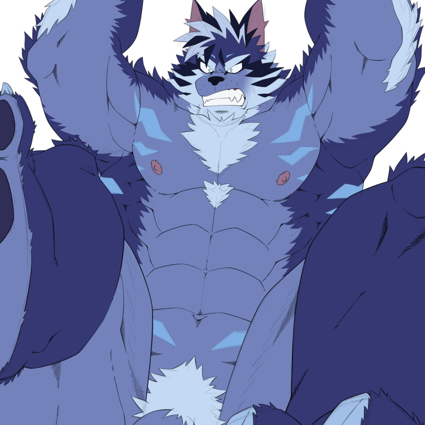 abs anthro blue_body blue_fur canid canine canis flaccid fur genitals hi_res homohomofever lifewonders male male_only mammal muscular muscular_anthro muscular_male nipples nude pecs penis penis_base pubes solo tindalos_(tokyo_afterschool_summoners) tokyo_afterschool_summoners video_games wolf