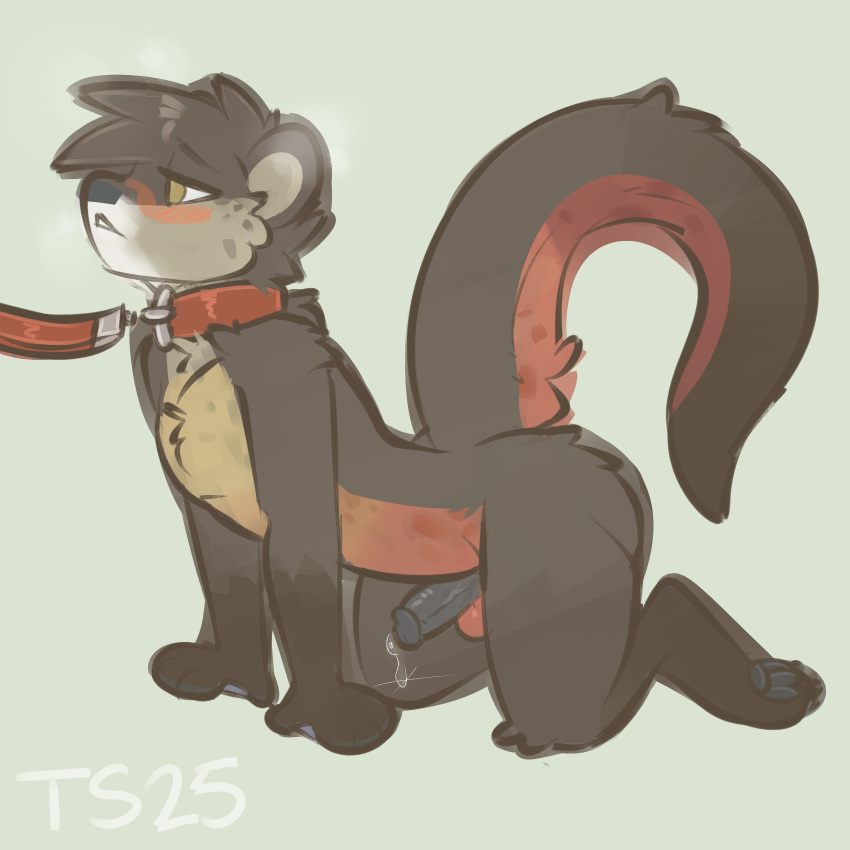 all_fours anthro black_penis blush bodily_fluids collar genital_fluids genitals gulonine hi_res hybrid leash leash_pull leashed_collar male mammal marten mustelid musteline otter penis pine_marten precum raised_tail solo ssephy_(character) tail taintedstar