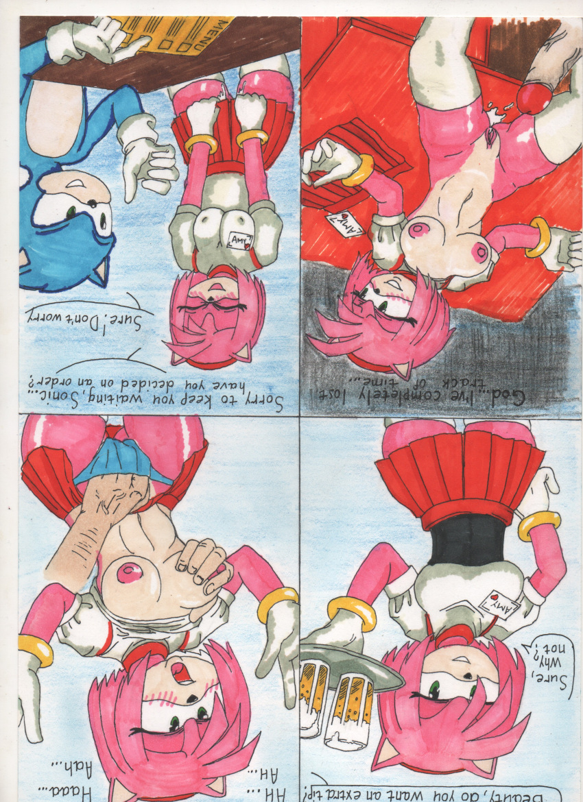 Amy Rose (Sonic (Series)) Rule 34 Image