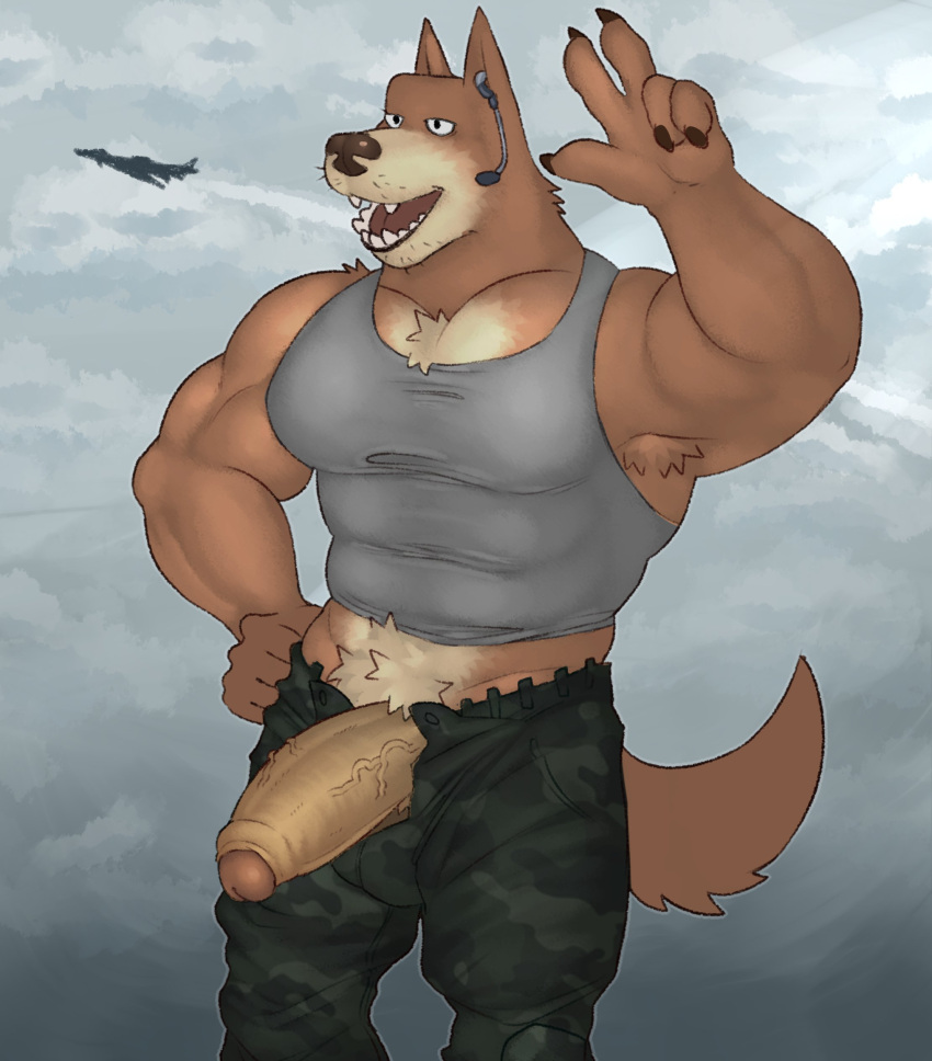 2022 absurd_res aircraft airplane anthro armpit_hair army balls_outline biceps biped body_hair boner bottomwear brown_body brown_fur bulge camo camo_bottomwear camo_clothing camo_pants camo_print canid canine canis clothed clothing cloud digital_media_(artwork) domestic_dog erection fleshformomo foreskin fully_clothed fur gay genital_outline genitals glans headphones hi_res humanoid_genitalia humanoid_penis male male_only mammal muscular muscular_anthro muscular_male open_bottomwear open_clothing open_mouth open_pants open_smile pants pattern_bottomwear pattern_clothing pattern_pants pecs penis pinup pose shiba_inu shirt smile solo spitz tan_body tan_fur tank_top teeth tongue topwear vein veiny_penis