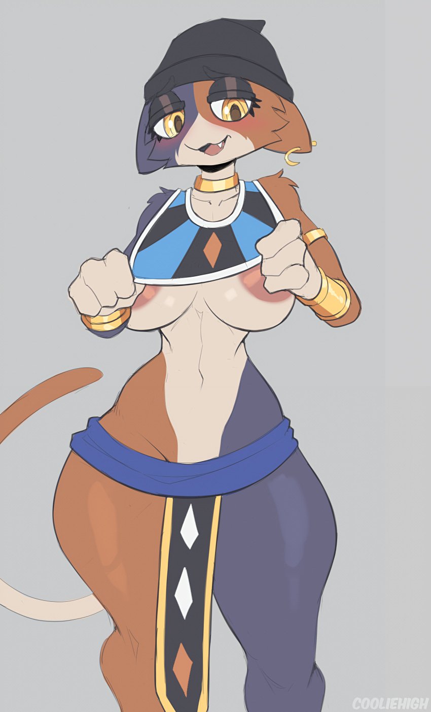 1girls 2023 2023s absurd_res anthro areola areola_slip areolae areolae_slip beanie beanie_hat beerus beerus_(cosplay) belly_button big_breasts blue_fur blush breasts brown_fur calico_cat collar cooliehigh cosplay crossover crossover_cosplay digital_drawing_(artwork) digital_media_(artwork) domestic_cat dragon_ball ear_piercing epic_games fang felid feline felis female female_focus female_only fortnite fortnite:_battle_royale fur furry furry_female furry_only furry_tail gold_(metal) gold_jewelry hat headgear headwear hi_res jewelry mammal meow_skulls meow_skulls_(fortnite) navel open_mouth piercing simple_background tail teeth thick_thighs thighs three_tone_body three_tone_fur tricolor_fur white_fur wide_hips yellow_eyes