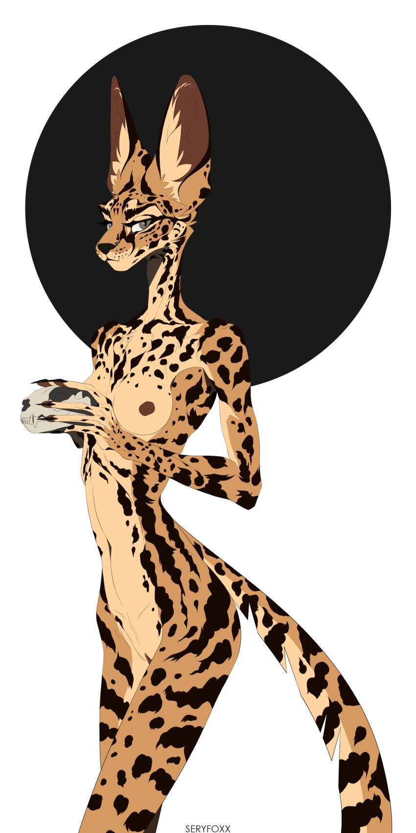 1:2 absurd_res anthro areola bone breasts felid feline female hi_res mammal nude serval seryfoxx skinny skull solo