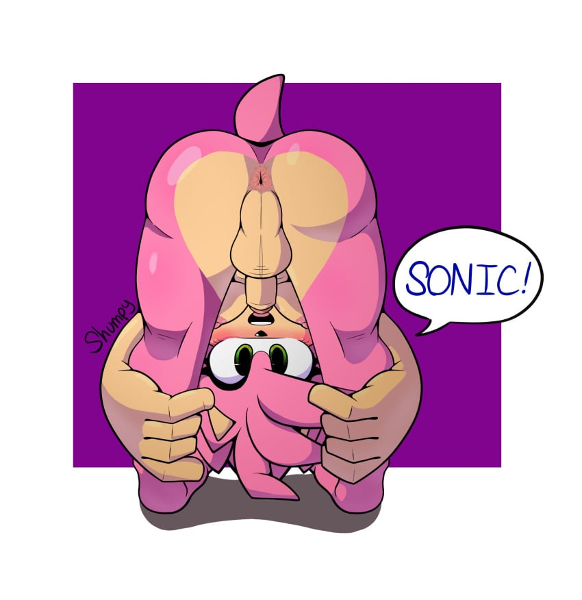 amy_rose anthro anus ass balls bent_over blush breasts clothing eulipotyphlan footwear foreskin genitals gynomorph hedgehog hi_res intersex jewelry mammal nude nude_gynomorph penis pink_body sega shoes shumpy solo sonic_the_hedgehog_(series) speech_bubble tail tan_body