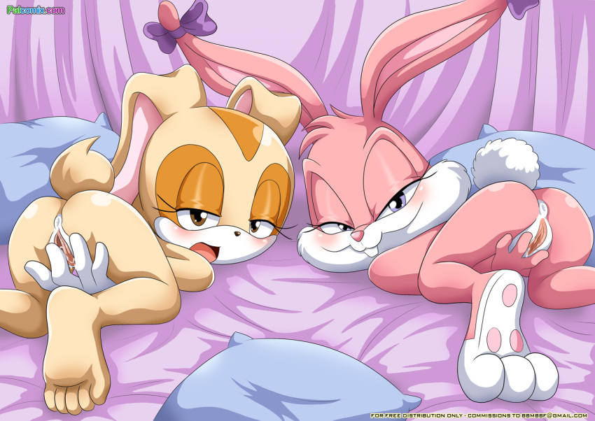 Babs Bunny (Sega) Rule 34 Image